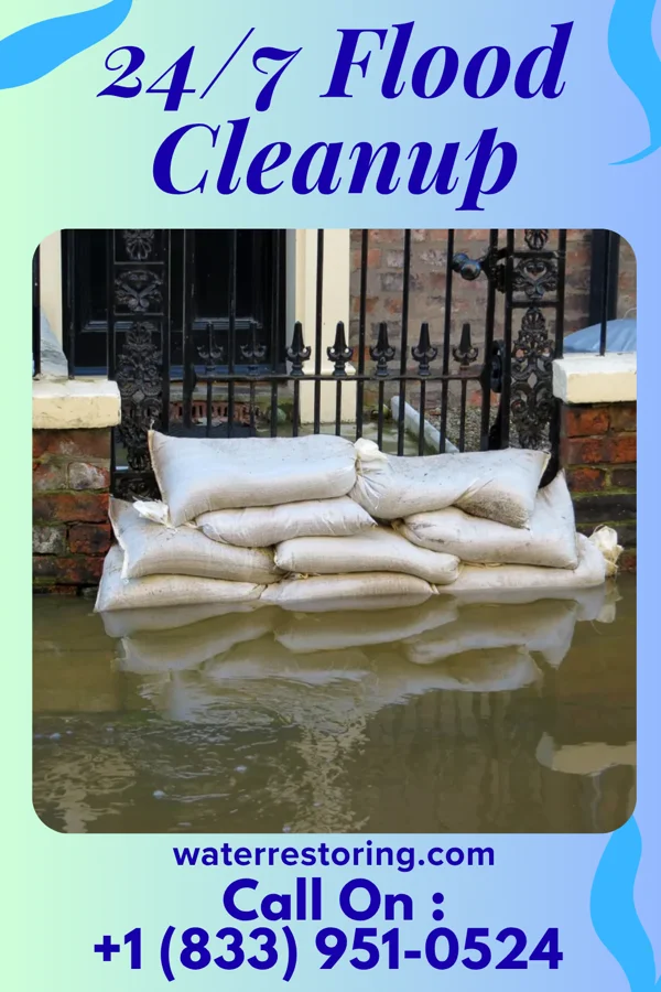 24/7 Flood Cleanup in Lake Winnebago, MO