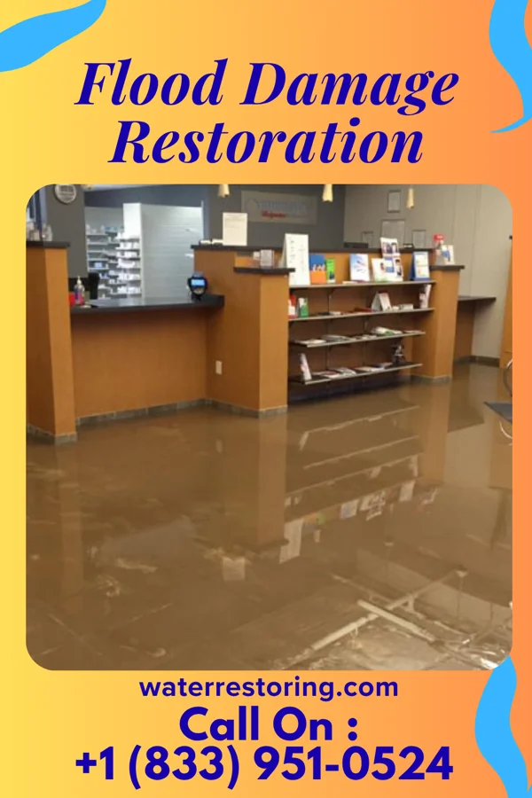 Flood Damage Restoration in Lake Winnebago, MO