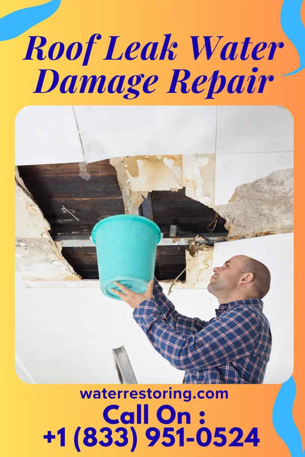 Roof Leak Water Damage Repair in Lake Winnebago, MO