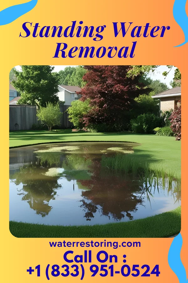 Standing Water Removal in Lake Winnebago, MO